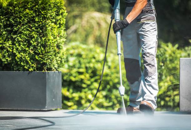 Best Dumpster Area Cleaning  in Palo Cedro, CA